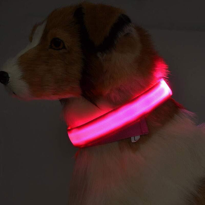 Nylon LED Pet Dog Luminous Collar Night Safety Flashing Glow in Dark Dog Cat Leash Adjustable Pet Supplies